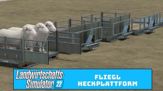 Fliegl Heckplattform