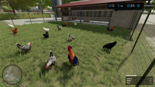 FS22 Chicken Barn Big