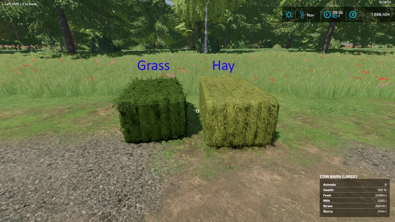 Grass bales