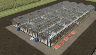 XXL Greenhouse