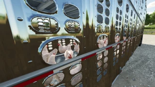 Chicken Transport Trailers