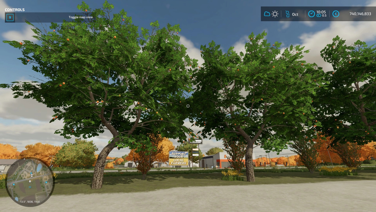 Placeable Orange Tree