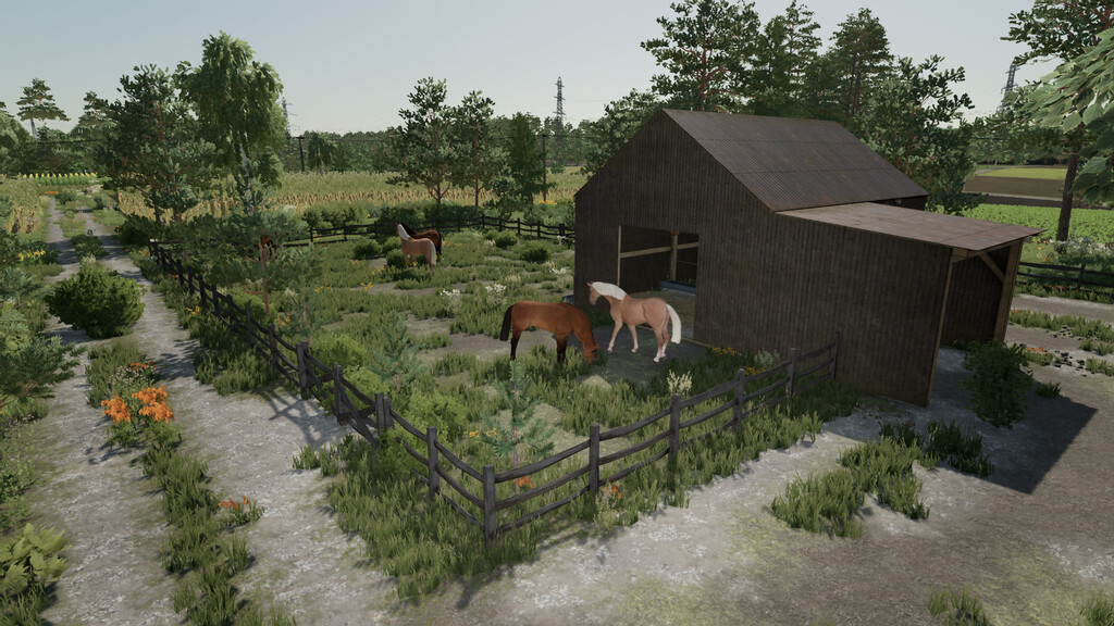 A Small Horse Stable