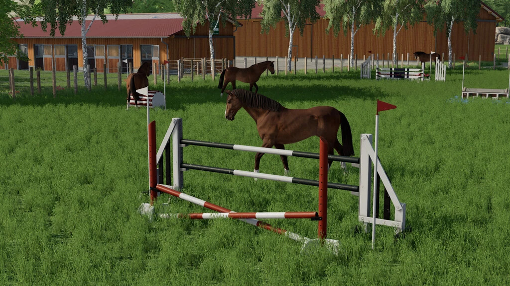 Obstacles Horse Sport (Prefab)