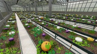 Industrial Greenhouse