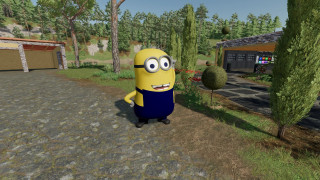 Minion