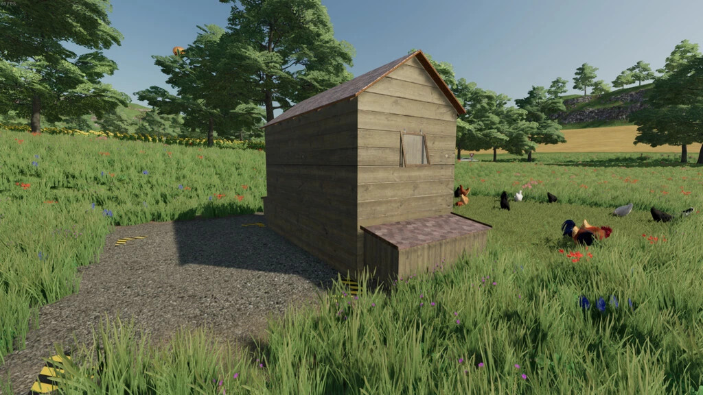 Open Chicken Coop