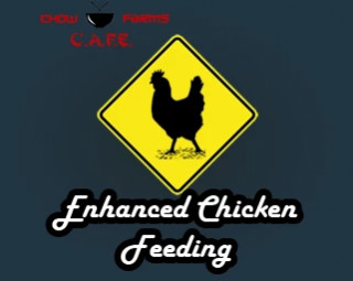 CAFE Enhanced Chicken Feeding