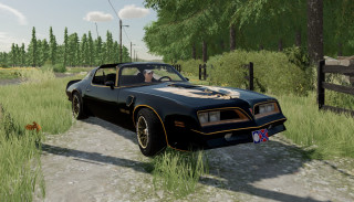 77 Pontiac Trans Am Firebird Bandit