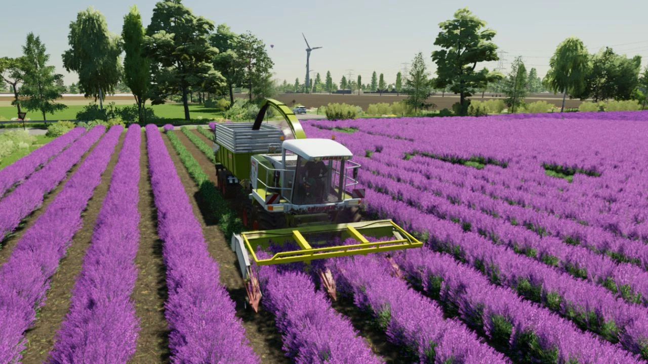 Lavender in Rows (Prefab)