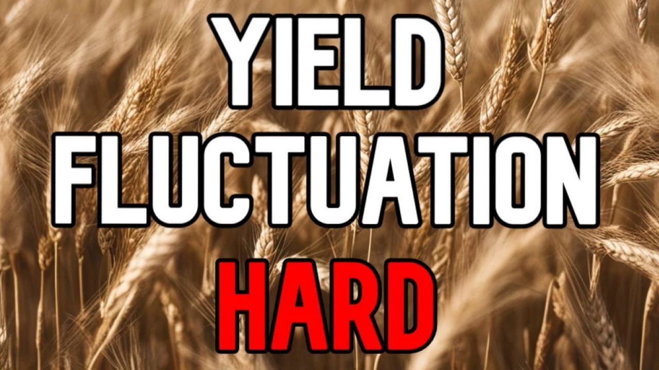 Yield Fluctuation - HARD